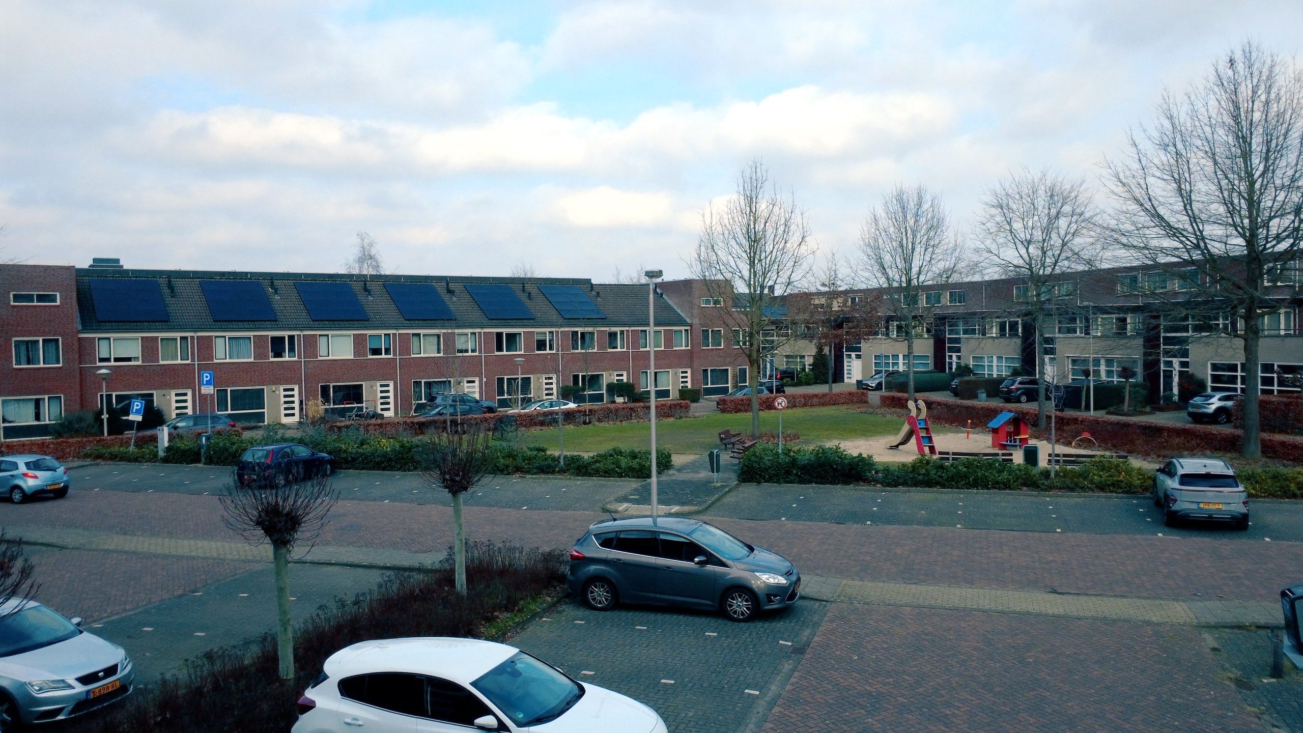 De kracht van groene vingers